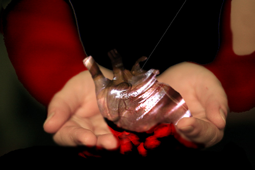 Design Photoshop par jaysin777 pour DesignCrowd (Community Contests) | Design #8990151