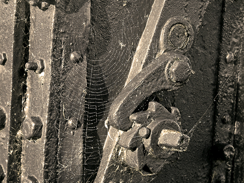 Photography by IvanColman for DesignCrowd (Community Contests) | Design #8994576