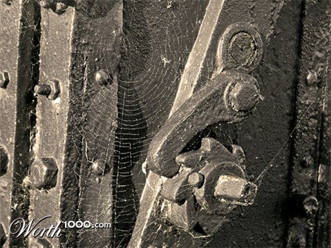 Photography by IvanColman