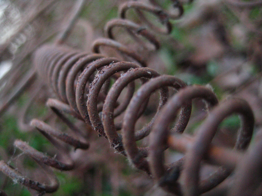 Fotografie von hollistereagle8 für DesignCrowd (Community Contests) | Design #8988273