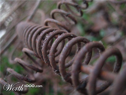 Photography by hollistereagle8