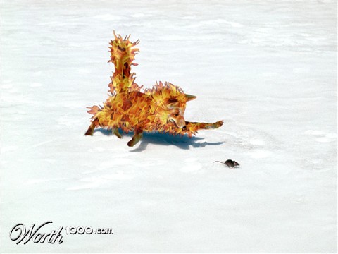 Photoshop Design by BOREDAMETHYST