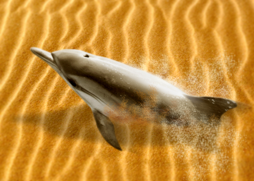 Photoshop Design by Sodardanayr for DesignCrowd (Community Contests) | Design #8989838