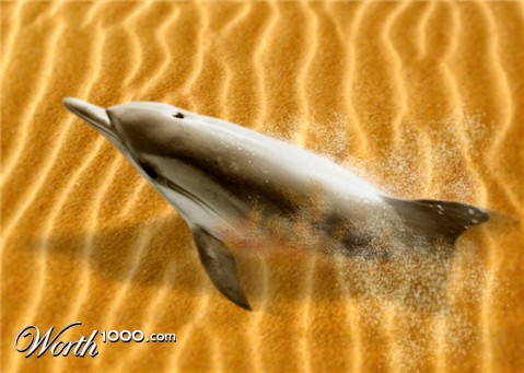 Photoshop Design by Sodardanayr