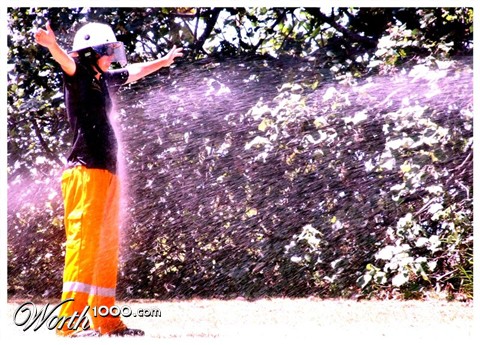 Photography by zforce