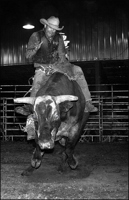 Photography by corgijump for DesignCrowd (Community Contests) | Design #8994588