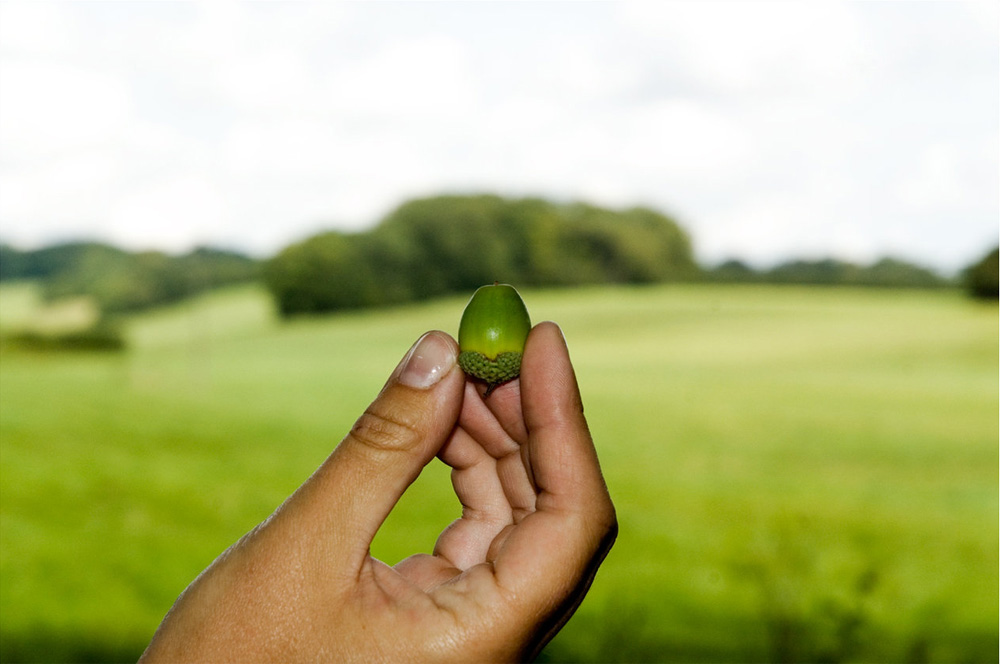 Fotografie von AlastairI für DesignCrowd (Community Contests) | Design #8993029