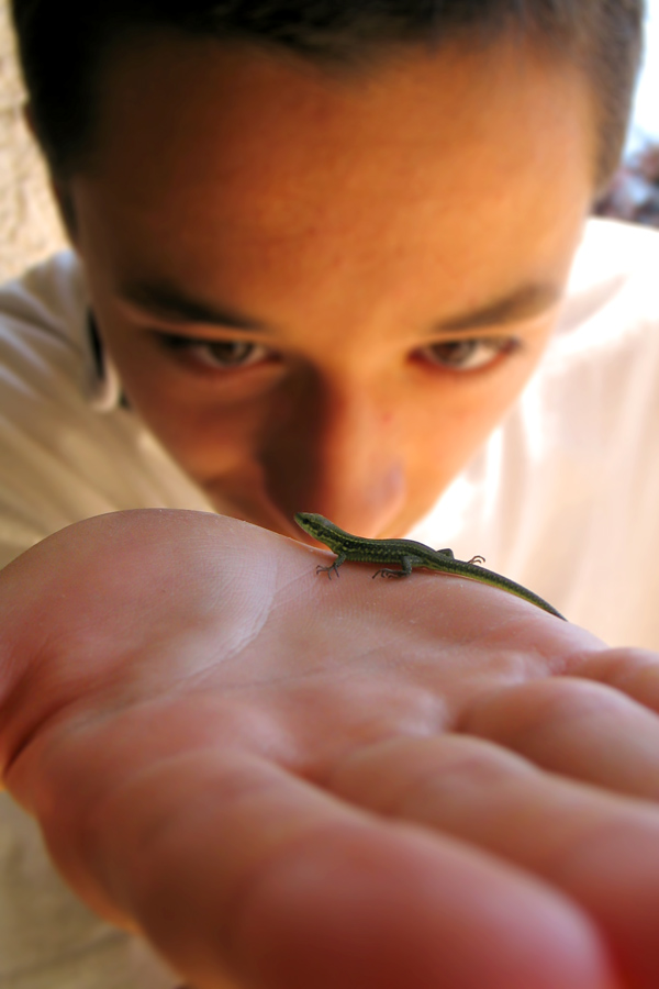 Fotografía por bilirubin para DesignCrowd (Community Contests) | Diseño #8993049