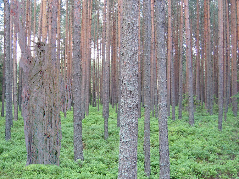 Photoshop Design by PJcub99 for DesignCrowd (Community Contests) | Design #8988568