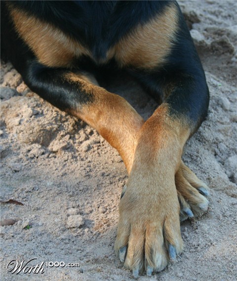 Photography by NobleSavage