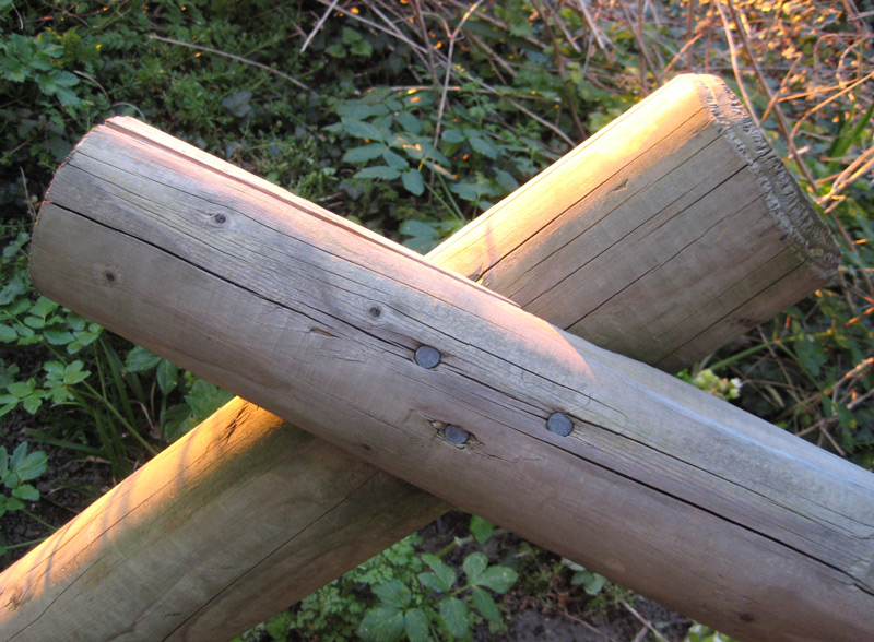 Fotografie von claudime für DesignCrowd (Community Contests) | Design #8988377