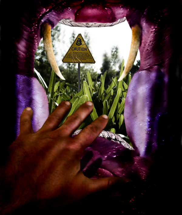 Photoshop Design by SlamJack for DesignCrowd (Community Contests) | Design #8991349