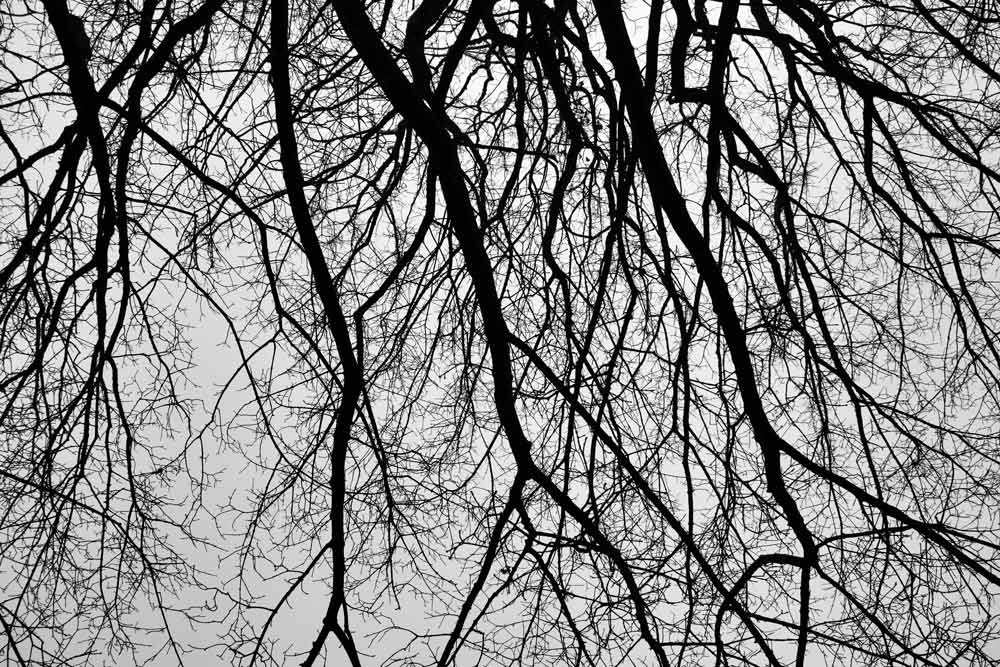 Photographie par crawdaddy pour DesignCrowd (Community Contests) | Design #8988315