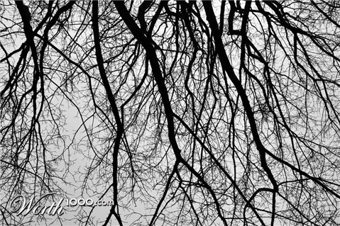 Photography by crawdaddy