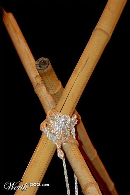 Photography by mmc9496