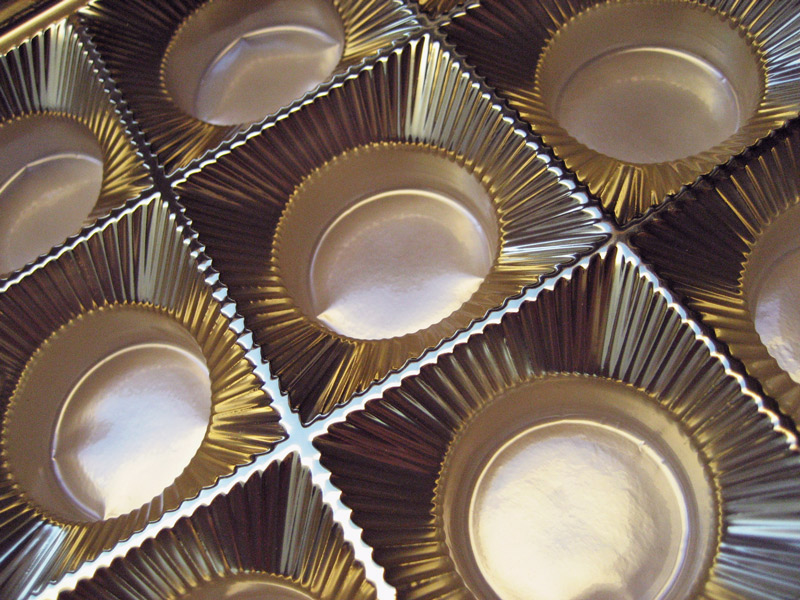 Fotografie von mangoslushy für DesignCrowd (Community Contests) | Design #8988322