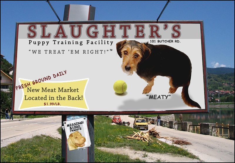 Diseño de Photoshop por anicole27 para DesignCrowd (Community Contests) | Diseño #8991430