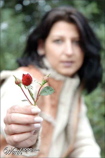 Photography by doctorD