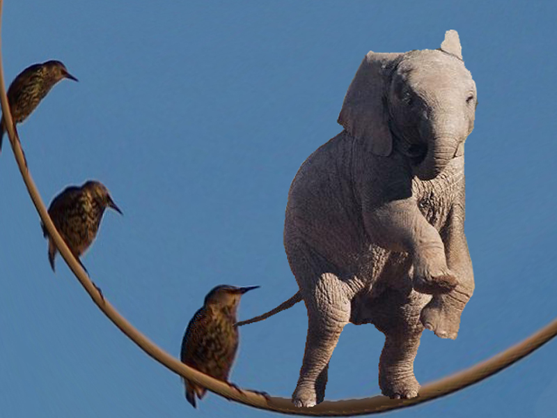 Photoshop Design by ICEBUNNY for DesignCrowd (Community Contests) | Design #8988451