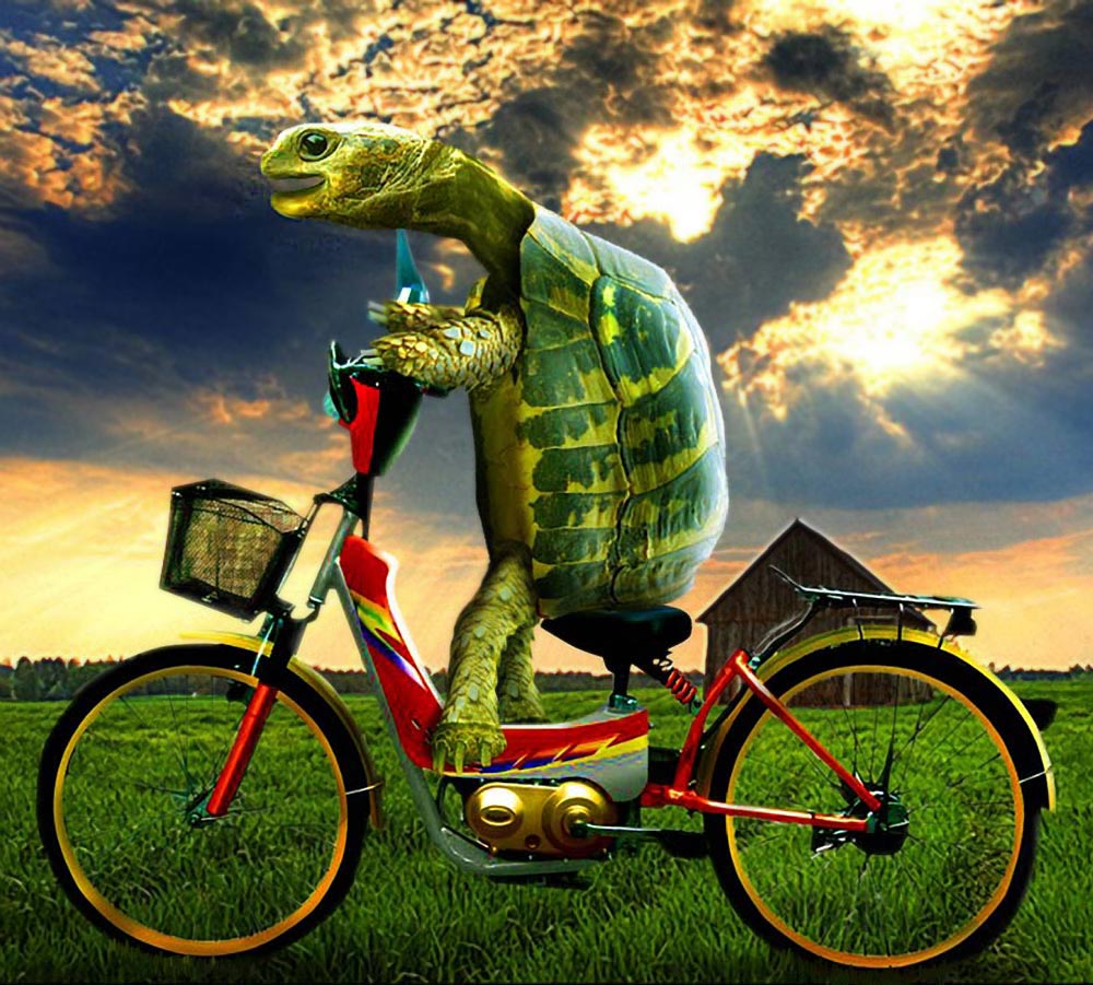 Diseño de Photoshop por bosss1 para DesignCrowd (Community Contests) | Diseño #8988441