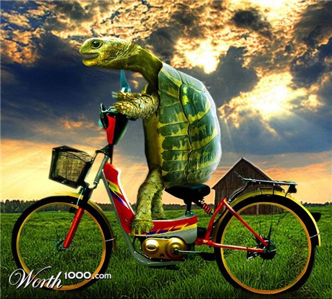 Photoshop Design by bosss1