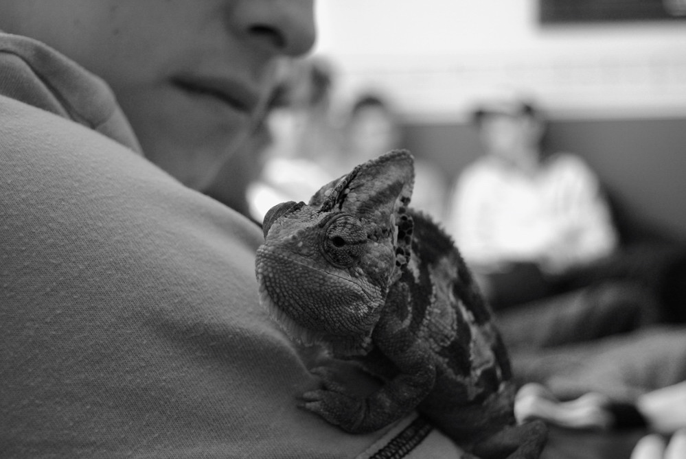 Photography by fotofanatic1 for DesignCrowd (Community Contests) | Design #8993056