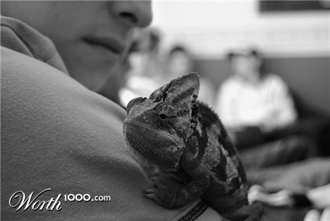 Photography by fotofanatic1