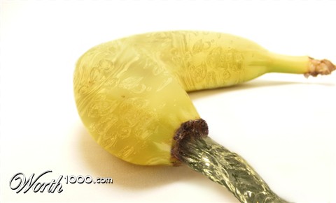 Photography by Feature