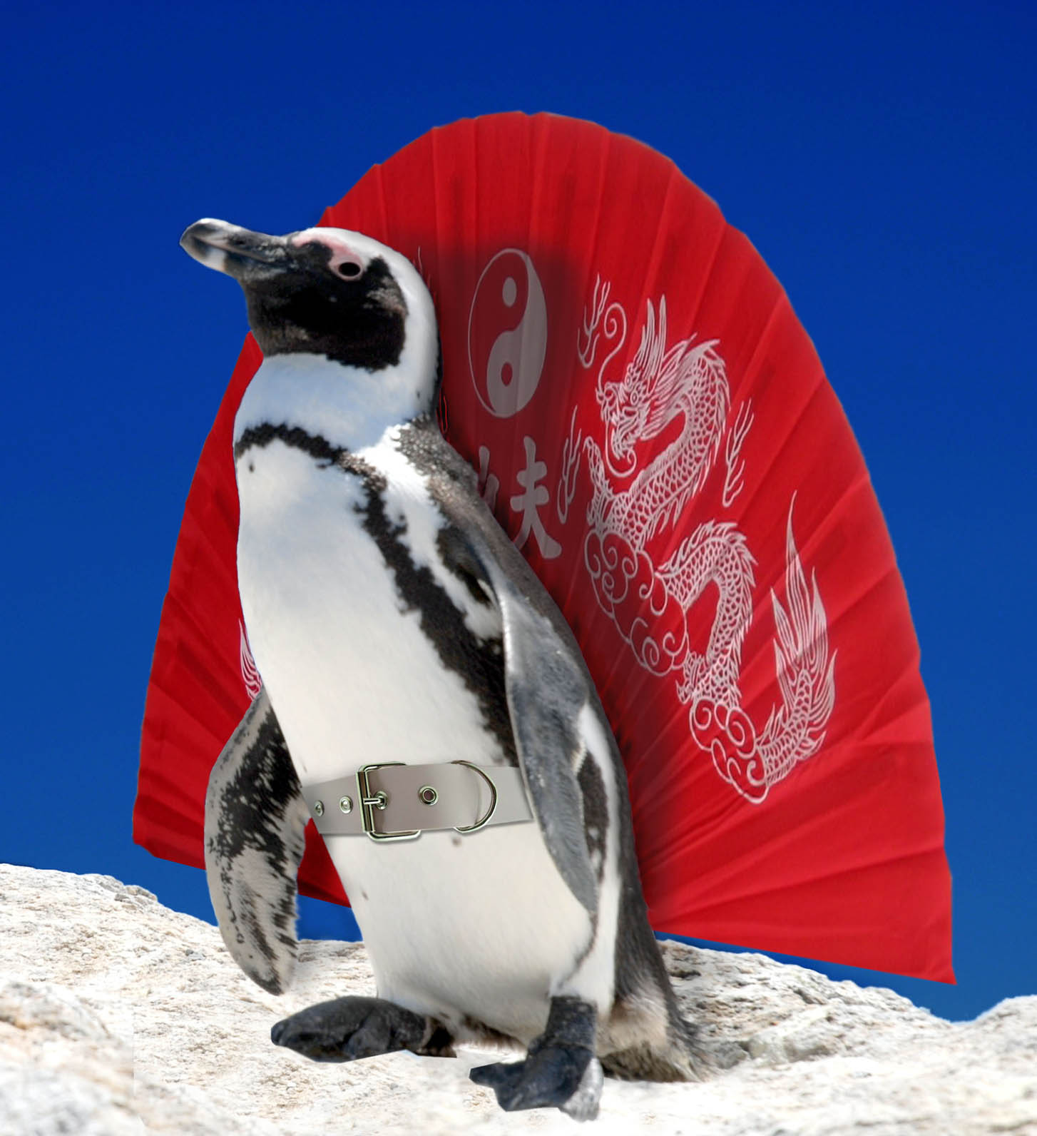 Diseño de Photoshop por Sankrah para DesignCrowd (Community Contests) | Diseño #8988454