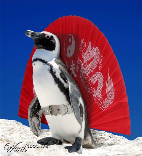 Photoshop Design by Sankrah