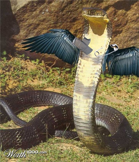 Photoshop Design by VaneetraX