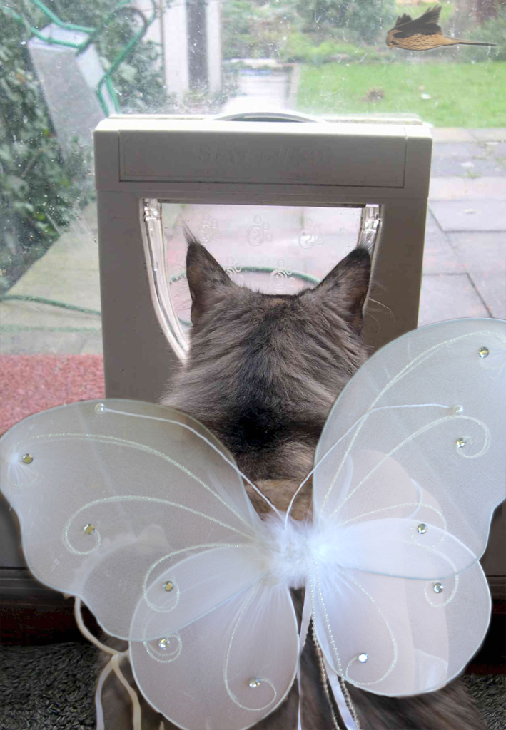 Photoshop Design by LookAndSee for DesignCrowd (Community Contests) | Design #8988470