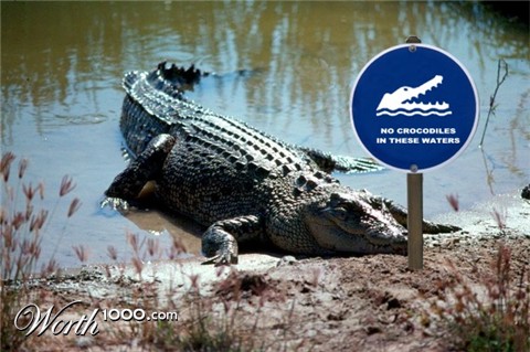 Photoshop Design by kushttrim