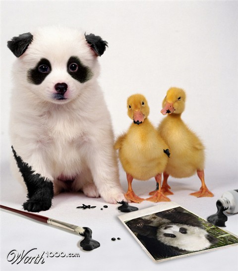 Photoshop Design by Anne Giguere