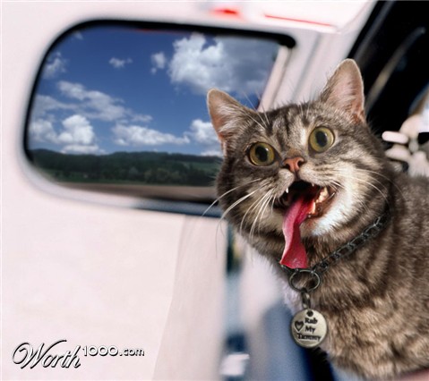 Photoshop Design by philiater1