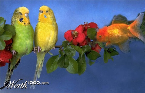 Photoshop Design by raginiroshni