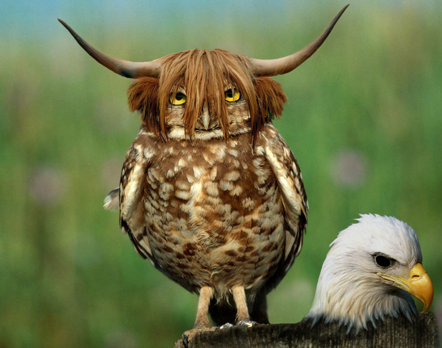 Photoshop Design by milicamica for DesignCrowd (Community Contests) | Design #8988505