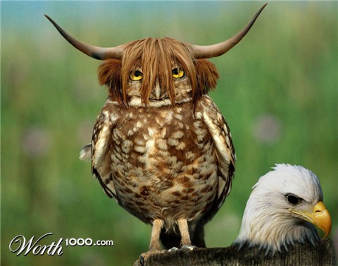 Photoshop Design by milicamica