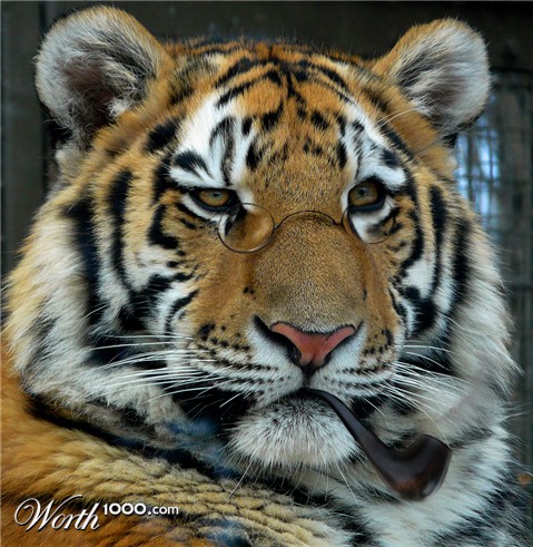 Photoshop Design by Alexisbrujo