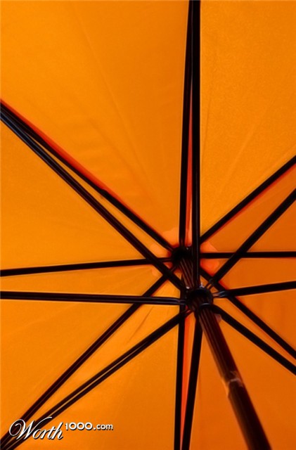 Photography by jckloop
