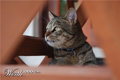 Photography by skipperw