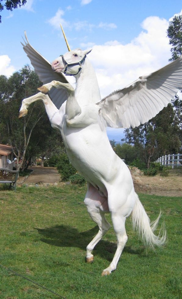 Design Photoshop par VaneetraX pour DesignCrowd (Community Contests) | Design #8991218