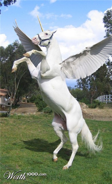 Photoshop Design by VaneetraX