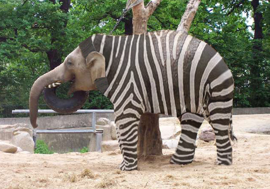 Photoshop Design by aequamen for DesignCrowd (Community Contests) | Design #8988511