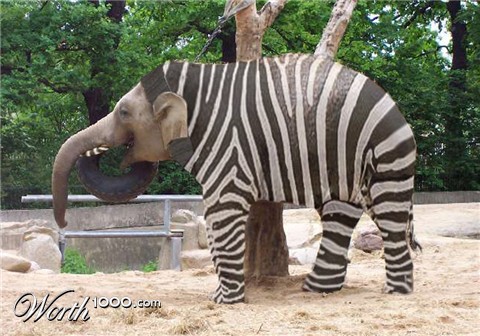 Photoshop Design by aequamen