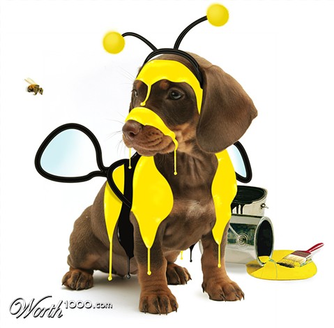 Photoshop Design by Nicky666