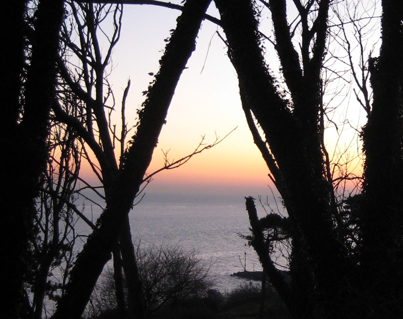 Fotografía por claudime para DesignCrowd (Community Contests) | Diseño #8989192