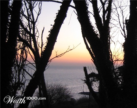 Photography by claudime