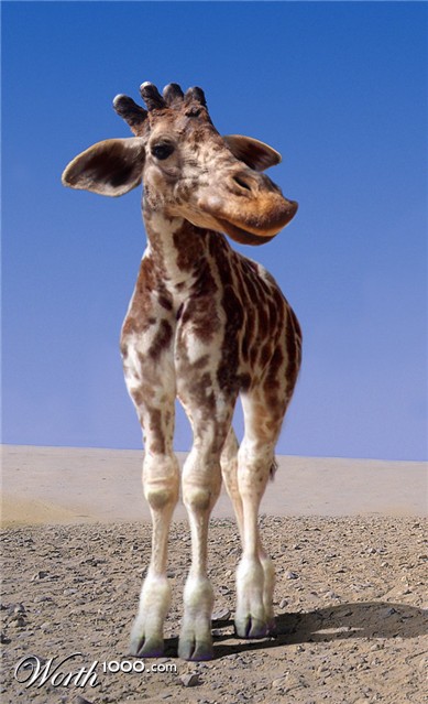 Photoshop Design by cleareyes