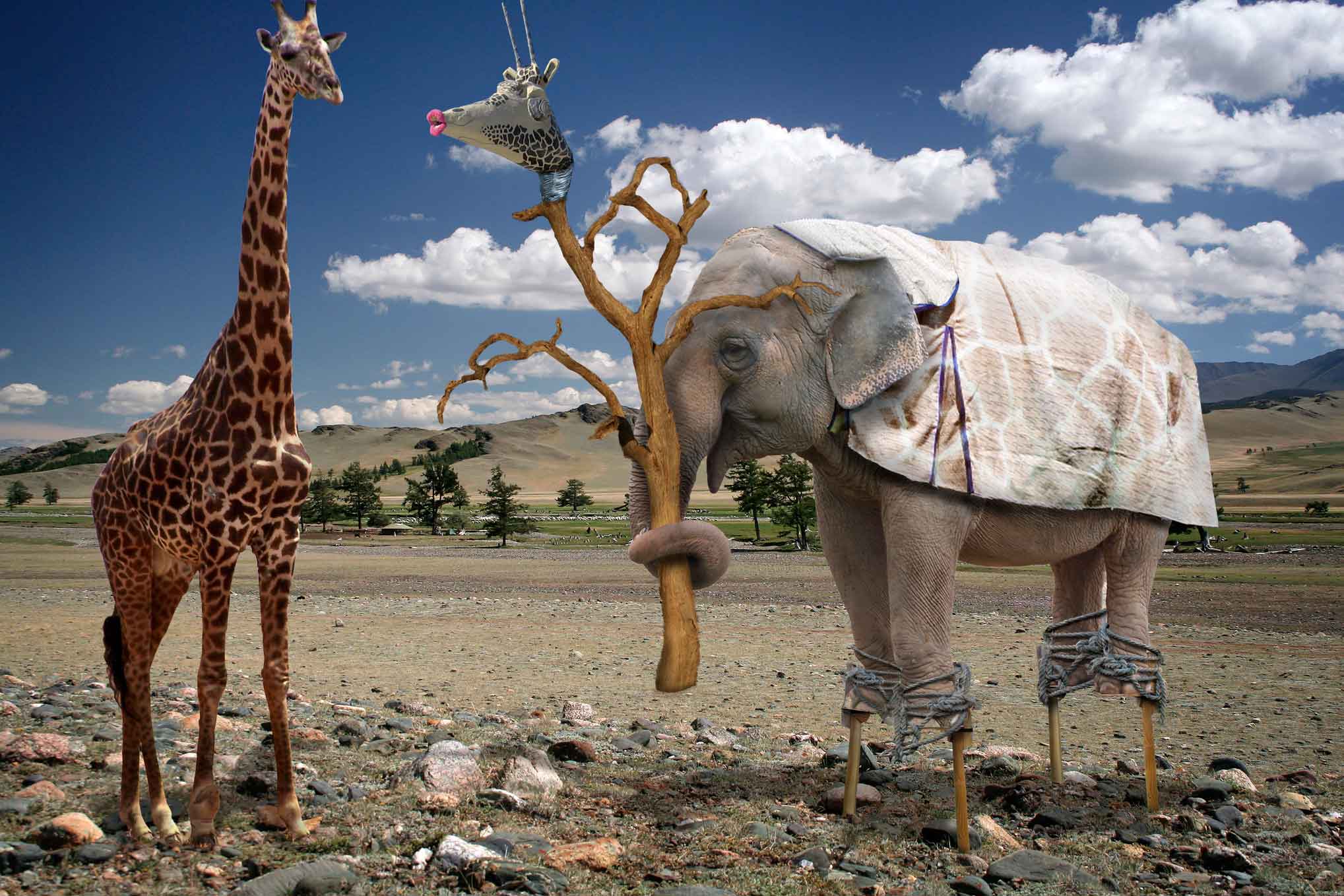 Photoshop Design by hornet83 for DesignCrowd (Community Contests) | Design #8988561